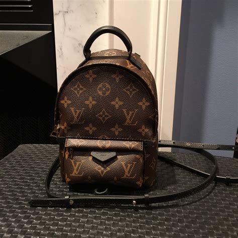 lv palm spring mini|louis vuitton palm springs mm.